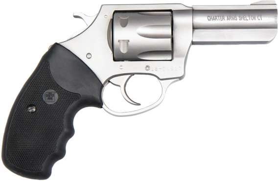 Charter Arms Pit Bull Handgun .380 ACP 6rd Capacity 2.2" Barrel Stainless Steel