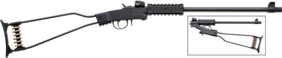 CHIAPPA LITTLE BADGER .22LR
