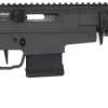 CITADEL TAIPAN .223REM PUMP