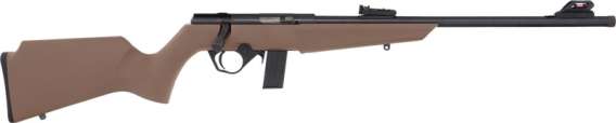 ROSSI RB22 COMPACT 22LR BOLT