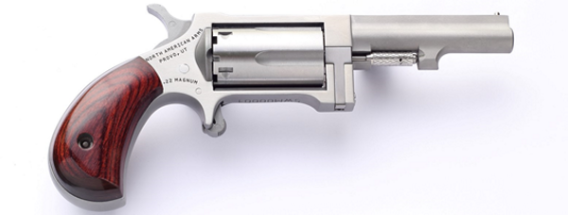 NORTH AMERICAN ARMS SIDEWINDER 22MAG 2.5" SS