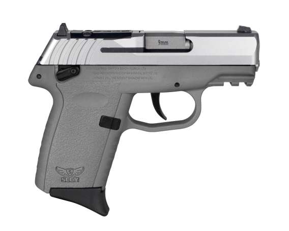 SCCY CPX-1 RDR Handgun 9mm Luger 10rd Magazine 3.1" Barrel External Safety Only Stainless Slide/Sniper Grey Frame