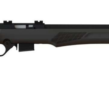 ROSSI RB17 17HMR BLK/SYN 21" 5+1