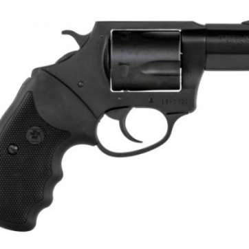 CHARTER ARMS THE PROFESSIONAL 357MAG 3"
