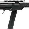 SAVAGE 64 PRECISION .22LR 20RD