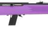 SAVAGE 64F .22LR 21" BBL