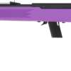 SAVAGE 64F .22LR 21" BBL - Image 2