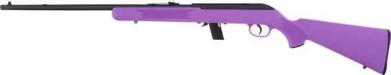 SAVAGE 64F .22LR 21" BBL - Image 2