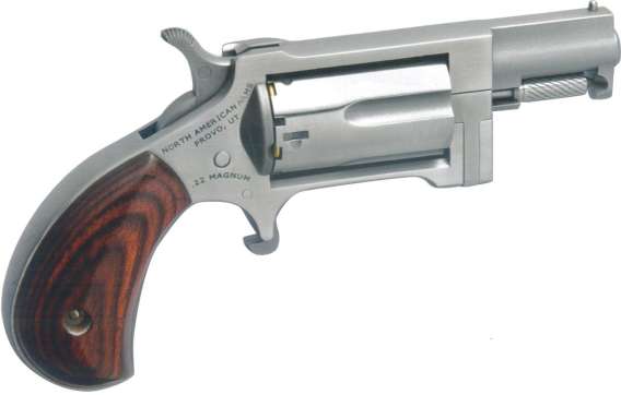 NAA SIDEWINDER .22WMR 1.5"