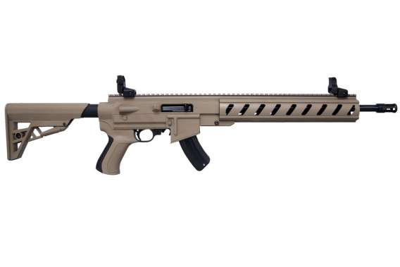 RUG 10/22 TAC 22LR 15RD FDE TL