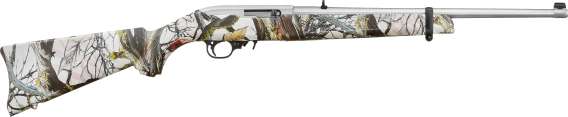 RUG 10/22 22LR AMR 18.5 SS DE
