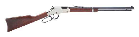 HEN GLD BOY SIL RFL 22LR 16RD