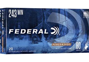 FED PWRSHK 243WIN 80GR SP 20/200