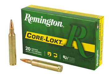 REM 300RUM 180GR CL 20/200