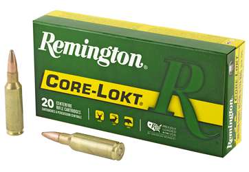 REM 300RSAUM 165GR PSP CL 20/200