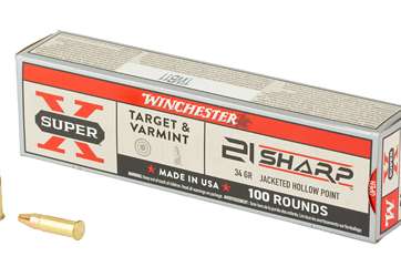 WIN 21 SHARP SUPERX 34GR 100/2000