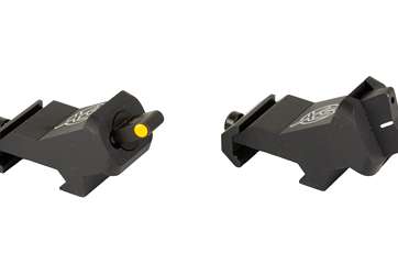 XS XTI2 DXS STANDARD DOT ORN