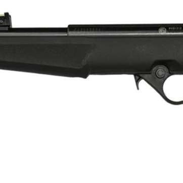 ROSSI RB22 22LR BLK/SYN FLAG 16.5" #
