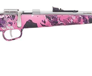 HENRY REPEATING ARMS H5 MINI BOLT G2 22LR SS/MUDDY